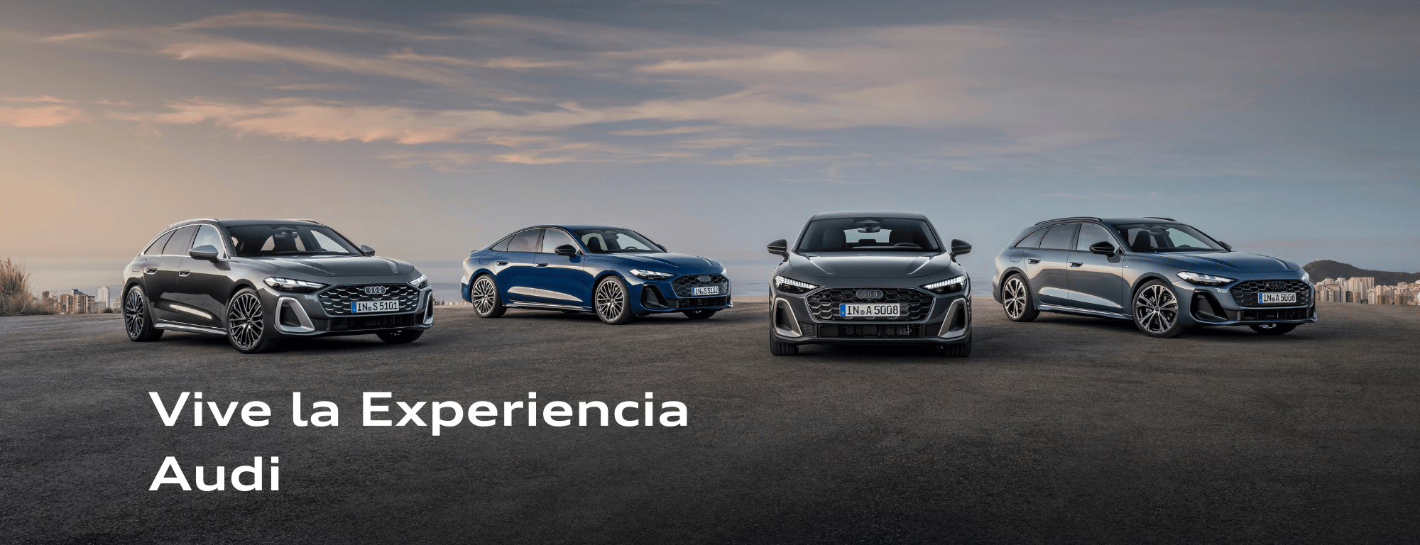 Ver Stock Nuevos