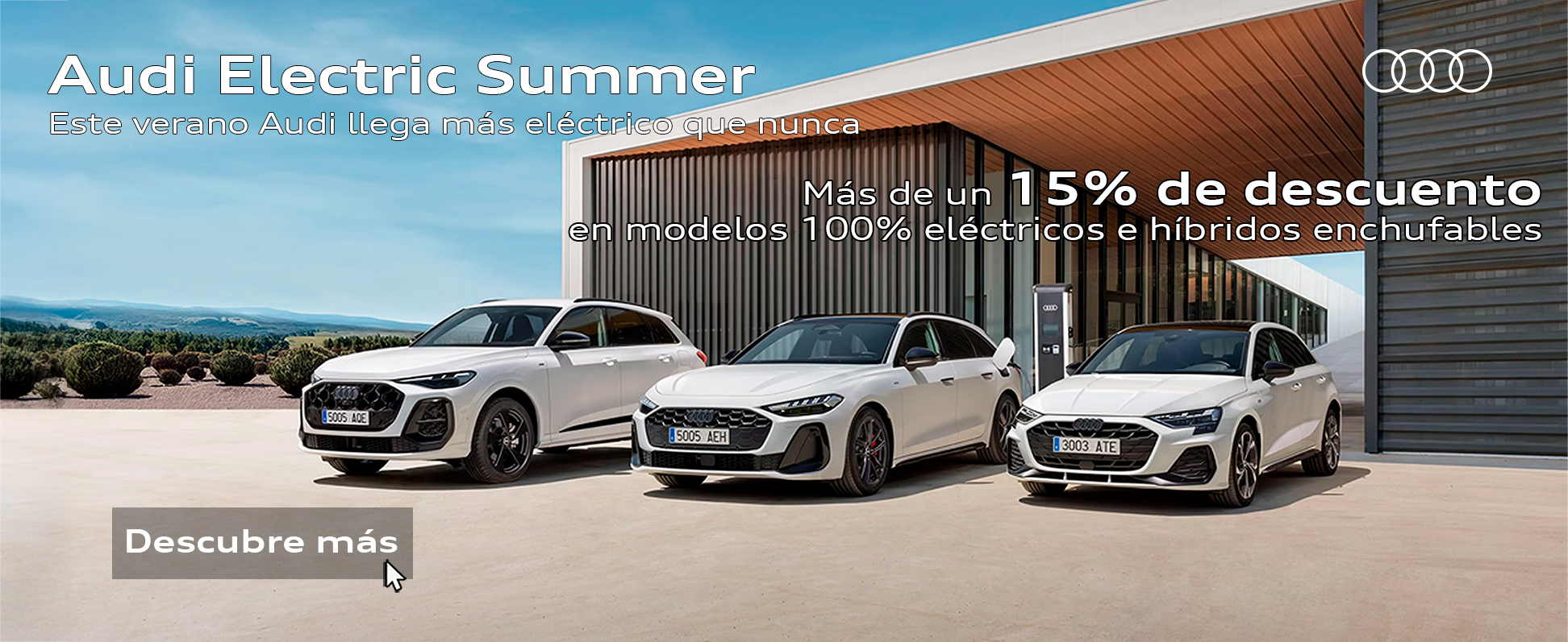 Banner Audi Electric Summer