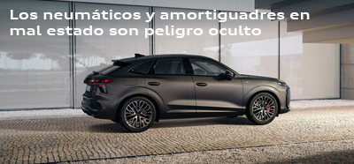 Neumáticos y amortiguadores