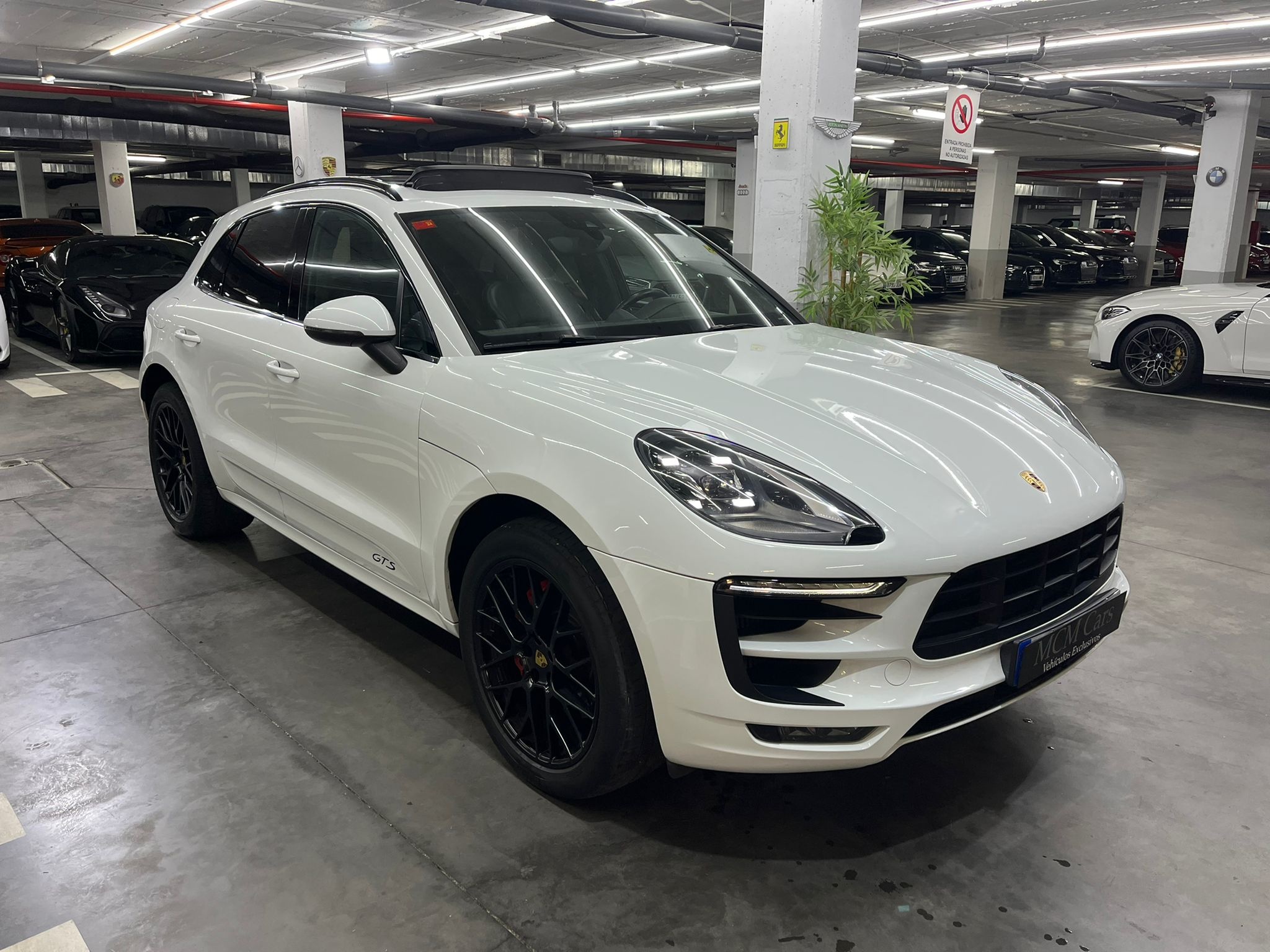 Porsche Macan GTS