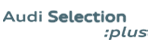 Concesionario Exclusivo Audi Selection :plus