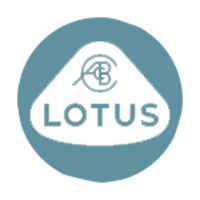 Lotus de segunda mano Lotus de segunda mano