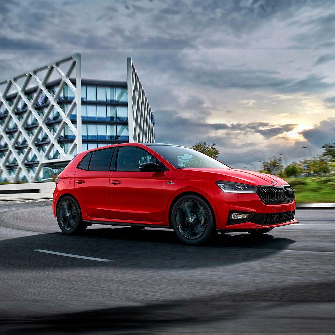 Skoda Fabia accesorios