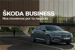 skoda business