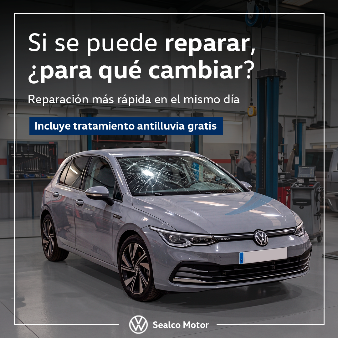reparación de lunas