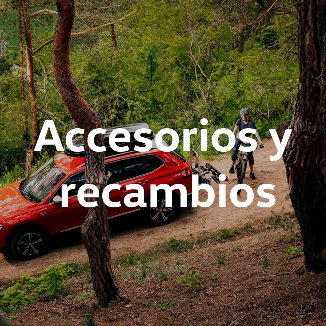 accesorios y recambios